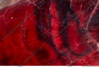 Photo Textures of RAW Pork Meat